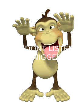 your a nigger haha