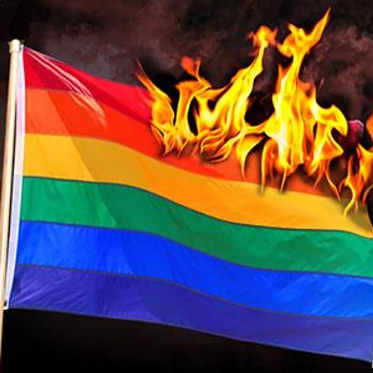 burn that flag